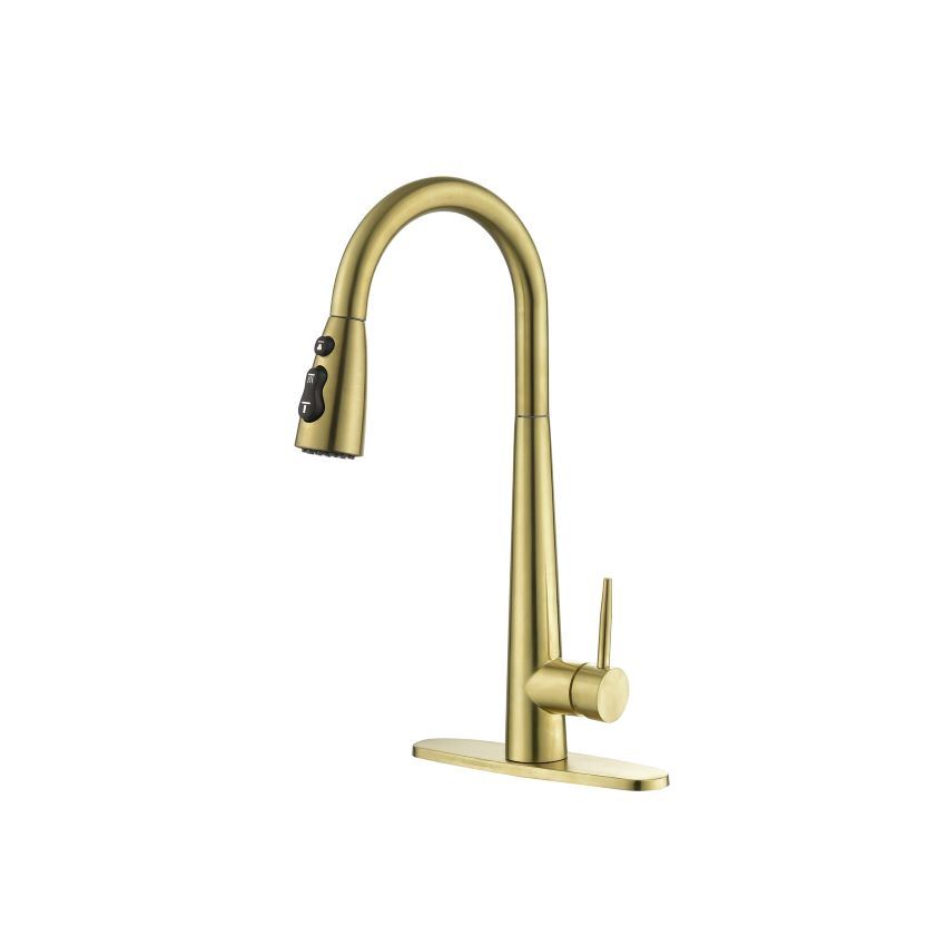 Single Handle Pull Down Sprayer Kitchen Sink Faucet